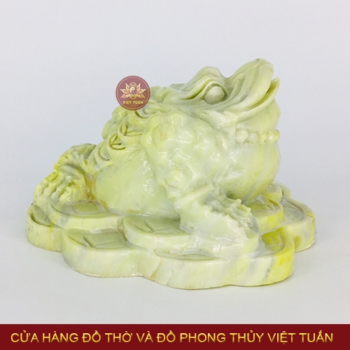 Thiềm thừ đá