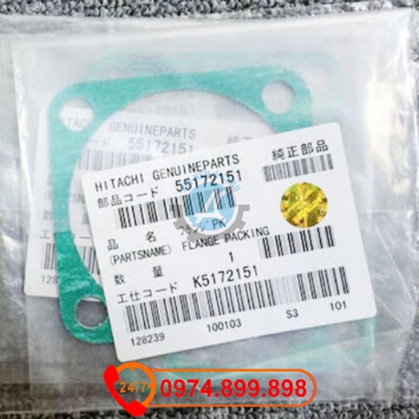 55172151 Flange packing KIT