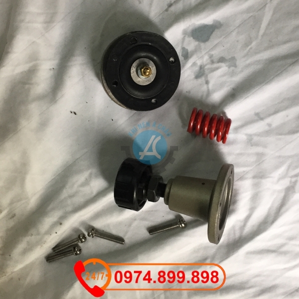 21116910 Kit Regulator Valve Diaphragm Element Baff