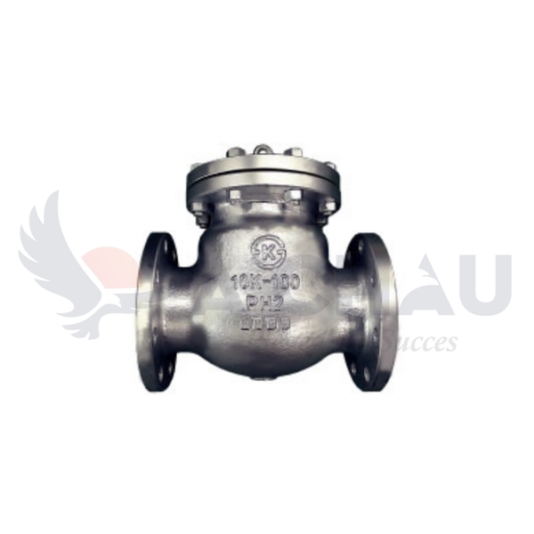 Van 1 chiều lá lật gang (Swing check valve) WSC-10 Wonil