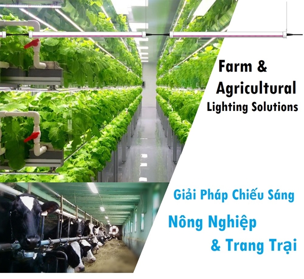 Farm & Agricultural Lighting Solutions - Giải Pháp Chiếu Sáng Nông Nghiệp & Trang Trại