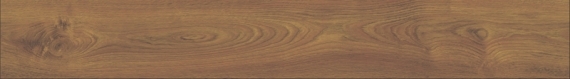 san-go-kronoswiss-mat-bach-kim-d3031