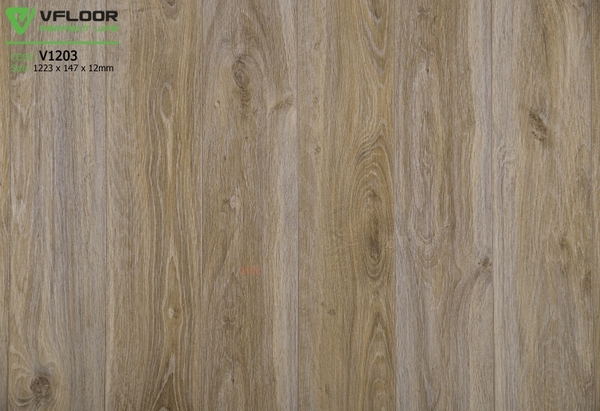 san-go-vfloor-v1203