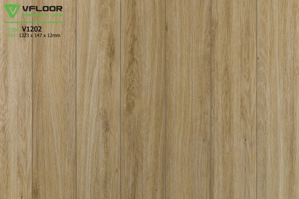 san-go-vfloor-v1202