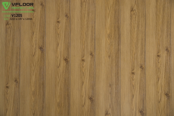 san-go-vfloor-v1205