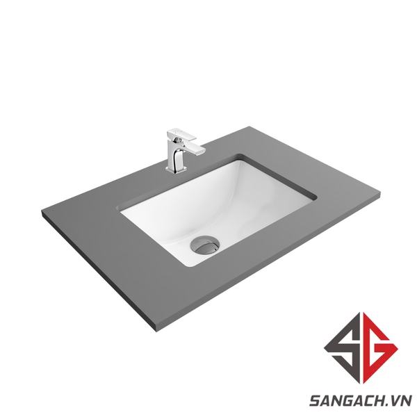 chau-rua-mat-lavabo-viglacera-ts1-am-ban