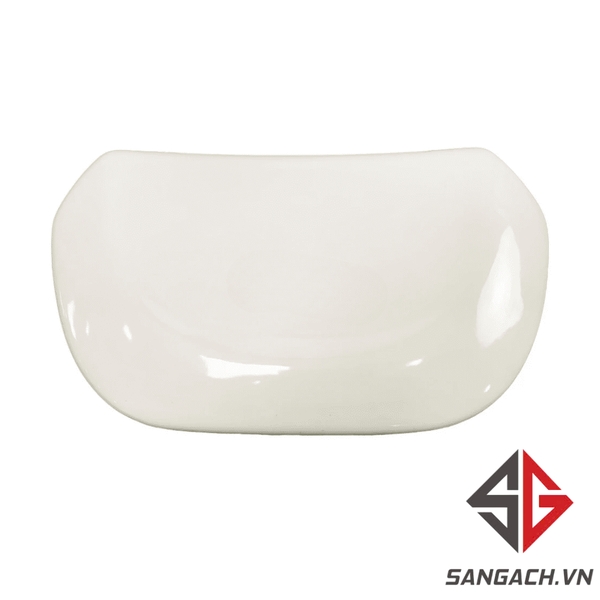 nap-ket-nuoc-bon-cau-viglacera-vi77-2-khoi-su