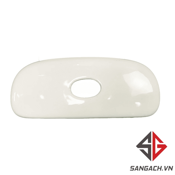 nap-ket-nuoc-bon-cau-viglacera-vi107-2-khoi-su