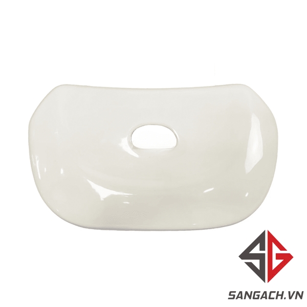 nap-ket-nuoc-bon-cau-viglacera-vi66-2-khoi-su