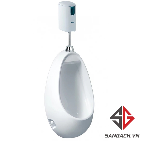 be-tieu-nam-caesar-u0221-treo-tuong