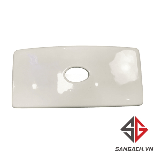 nap-ket-nuoc-bon-cau-viglacera-v199-1-khoi-su