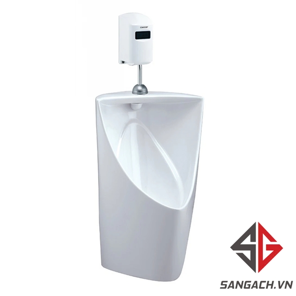 be-tieu-nam-caesar-u0233-treo-tuong