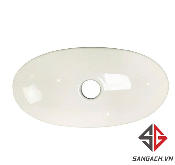 nap-ket-nuoc-bon-cau-viglacera-v37s-1-khoi-su