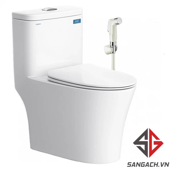 bon-cau-viglacera-v63-nap-em-v687-tang-voi-xit-vg826