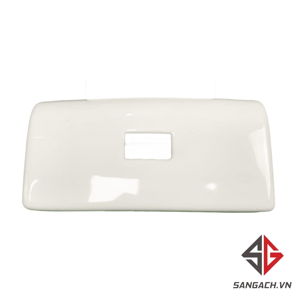 nap-ket-nuoc-bon-cau-viglacera-v41-1-khoi-su