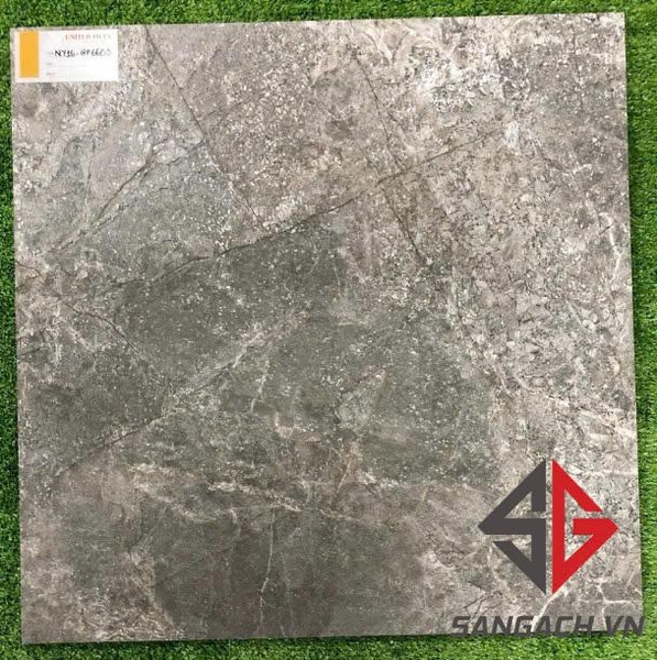 gach-60x60-viglacera-ny16-gp6603