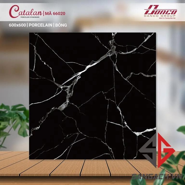gach-lat-nen-porcelain-60-60-catalan-66020