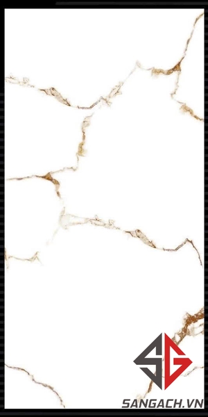 gach-op-lat-60x120-an-do-solo-brown-glossy