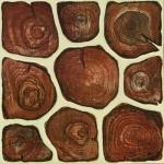 gach-lat-san-vuon-40x40-viglacera-s424