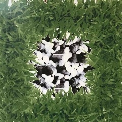 gach-lat-san-vuon-40x40-viglacera-gf-458