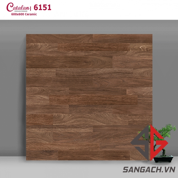 gach-lat-nen-60x60-catalan-6151