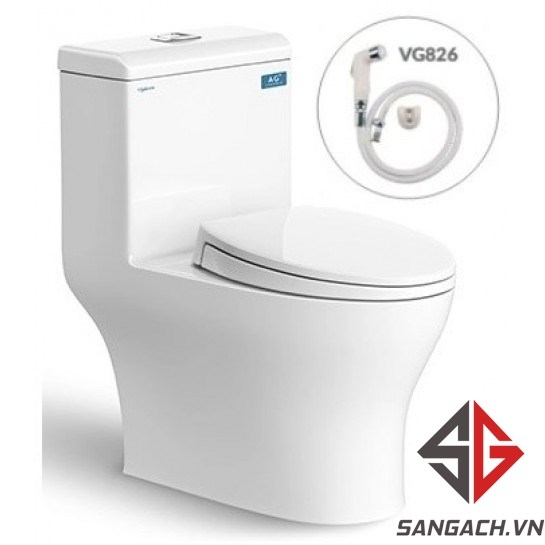 bon-cau-viglacera-v45-nap-em-v68-voi-xit-vg826