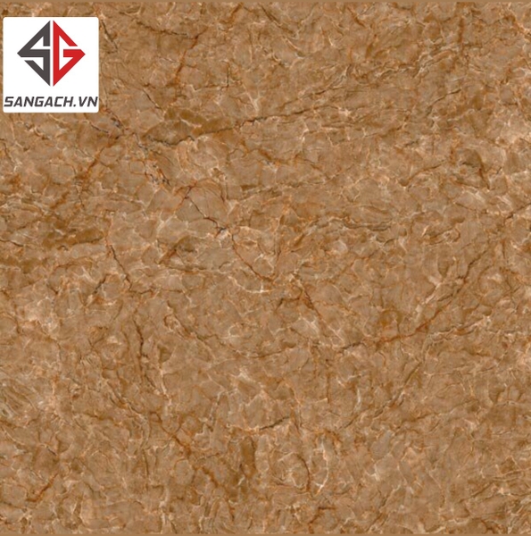 gach-op-lat-50x50-viglacera-cuu-long-cl-ce509