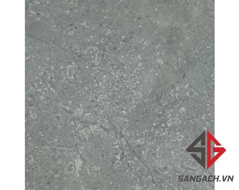 gach-lat-nen-viglacera-30x30-sh302