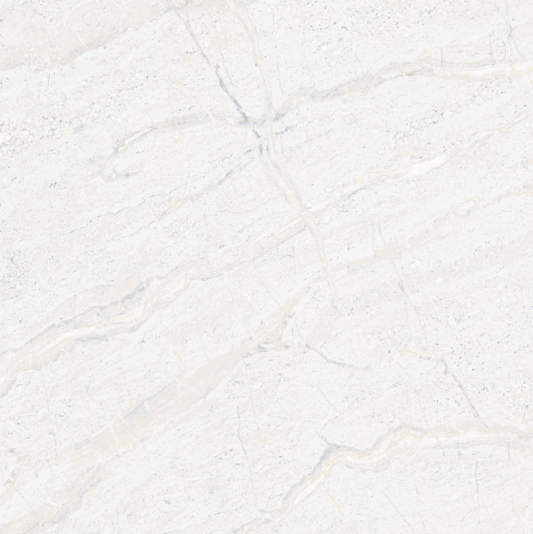 gach-granite-dong-tam-60x60-da008-fp