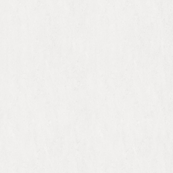 gach-granite-dong-tam-60x60-moment-006