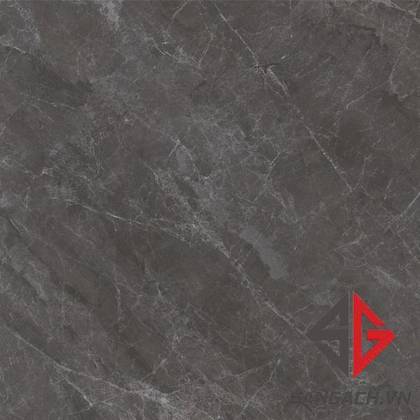 gach-lat-nen-viglacera-30x30-sh304