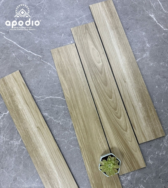 gach-lat-nen-15x90-apodio-ap091973002