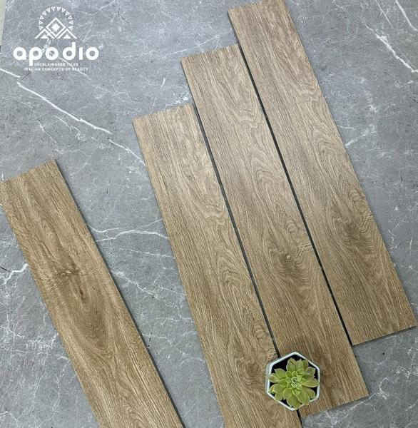 gach-lat-nen-15x90-apodio-ap091973007