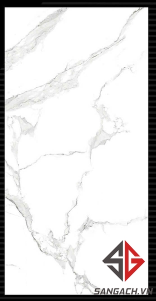 gach-op-lat-60x120-an-do-statuario-rock-glossy