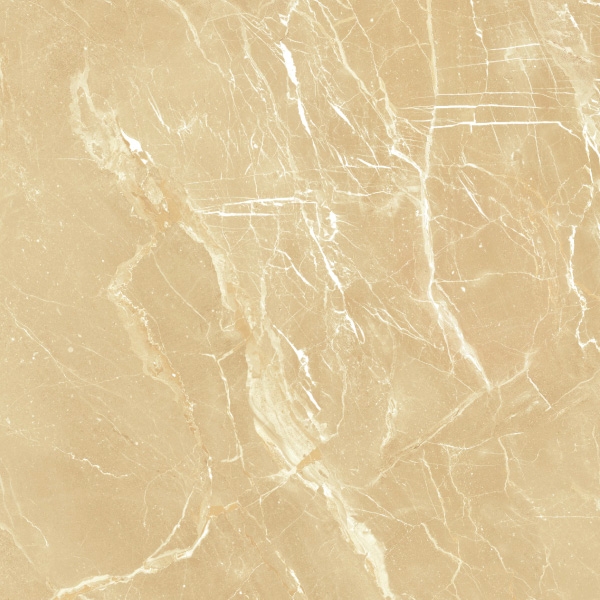 gach-granite-dong-tam-80x80-rome-001-h