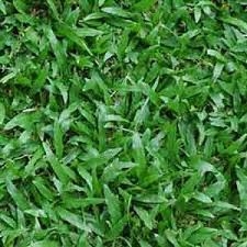 gach-dong-tam-40x40-clg-001