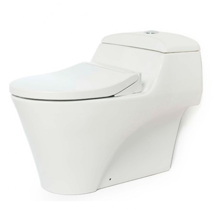 bon-cau-toto-1-khoi-cw823nw-fe2-nap-co