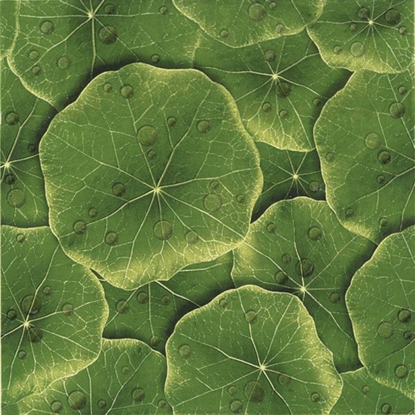 gach-dong-tam-40x40-la-sen-001