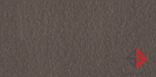 gach-gia-co-30x60-taicera-g63521