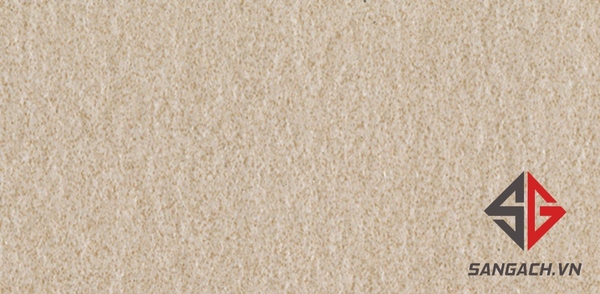 gach-gia-co-30x60-taicera-g63522