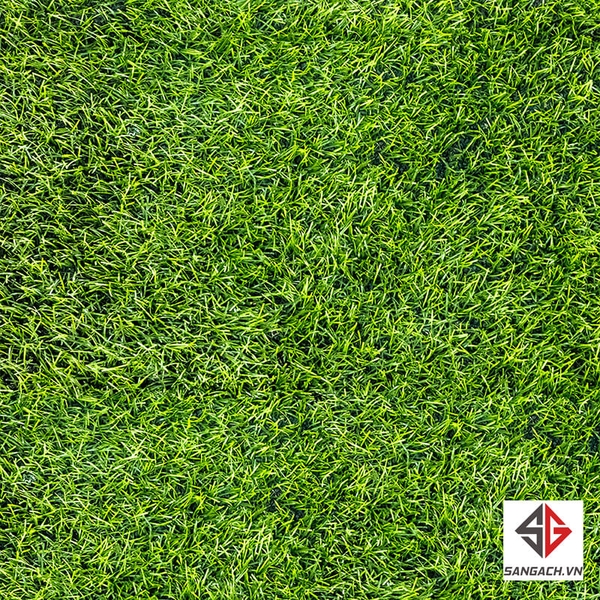 gach-dong-tam-40x40-greenery-002