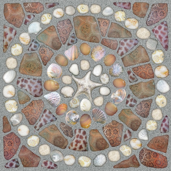 gach-lat-nen-dong-tam-50-50-dtd5050hoangsavn