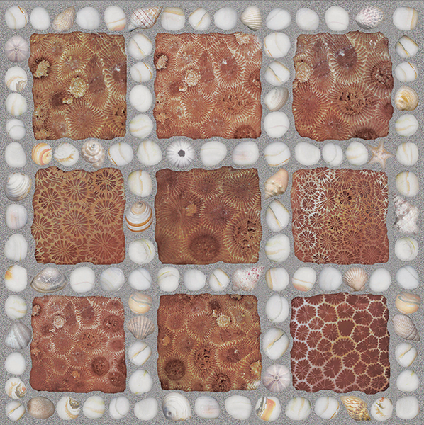 gach-san-vuon-dong-tam-dtd5050truongsavn