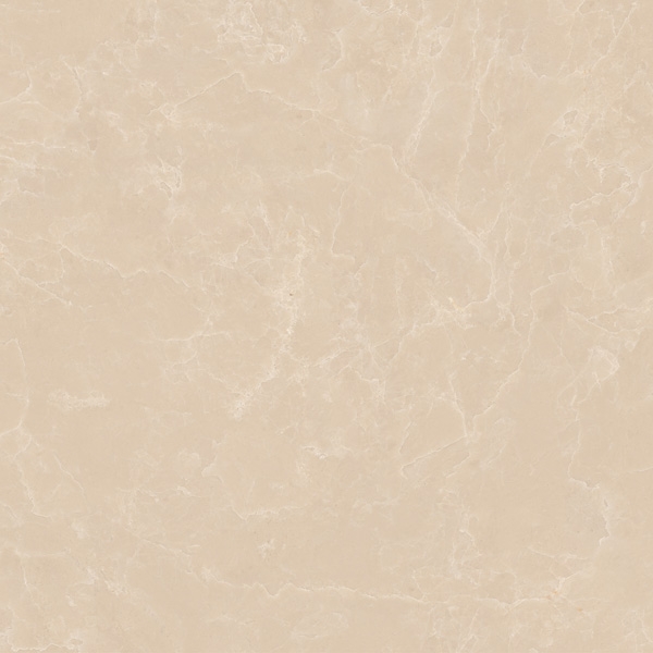 gach-op-lat-50x50-viglacera-cuu-long-cl-ce504