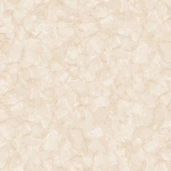 gach-op-lat-50x50-viglacera-cuu-long-cl-ce505