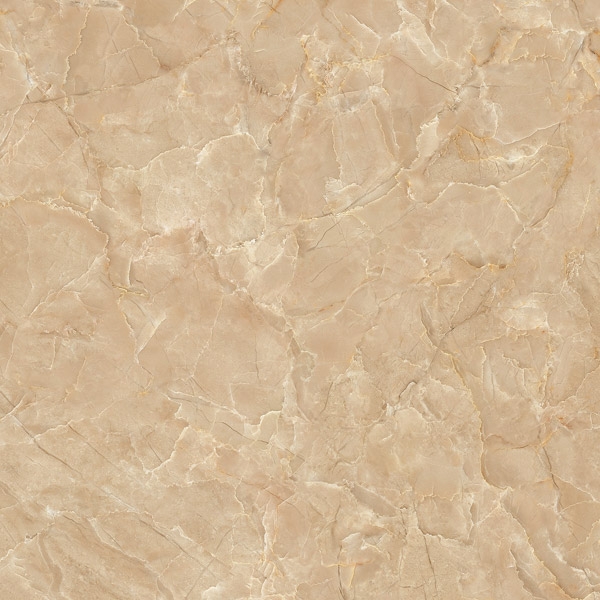 gach-op-lat-50x50-viglacera-cuu-long-cl-ce507