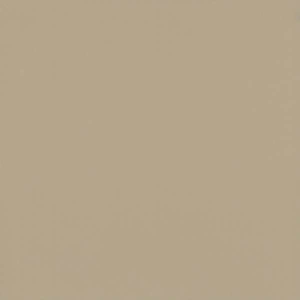 gach-lat-nen-viglacera-60-60-ts6-602