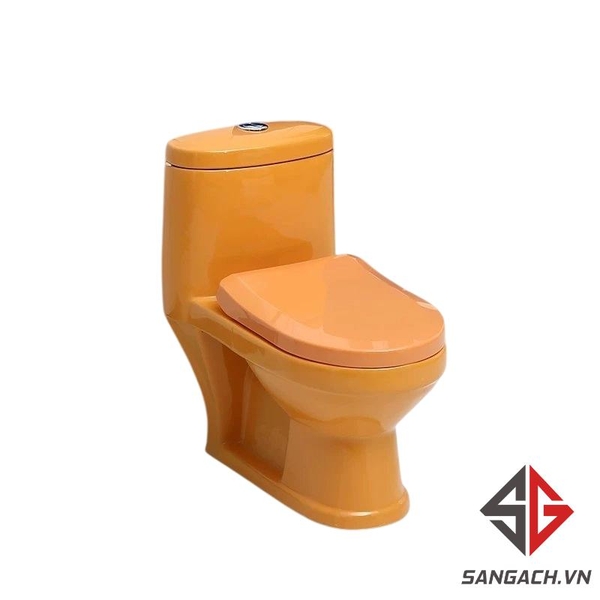 bon-cau-tre-em-saga-cam-sgte02