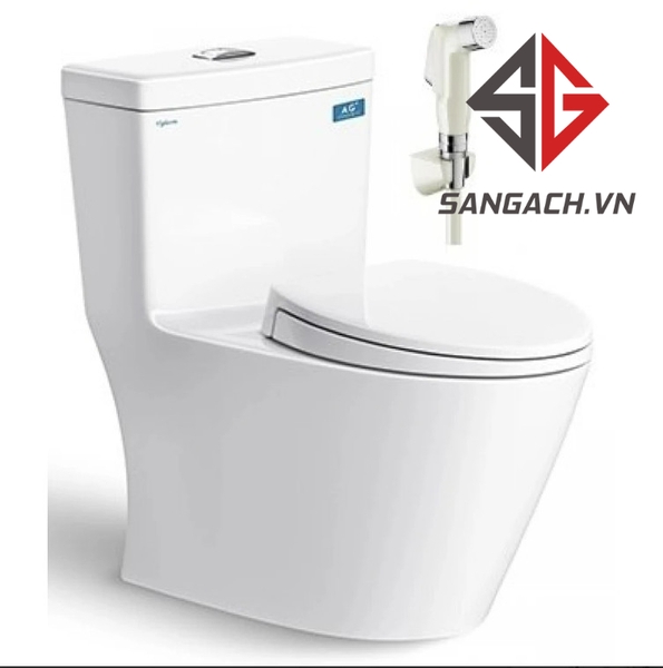 bon-cau-viglacera-v62-nap-em-v687-1-khoi-tang-vg826-vg853