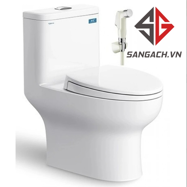 bon-cau-viglacera-v64-nap-em-v687-1-khoi-tang-vg826-vg853